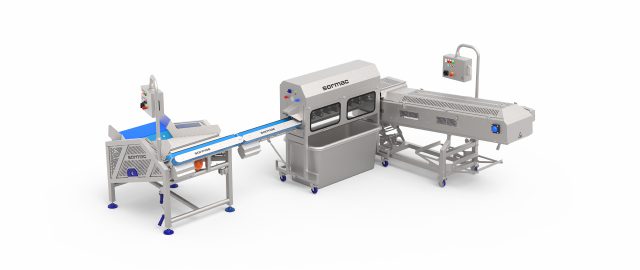 Carrot peeling and piece cutting line - Sormac